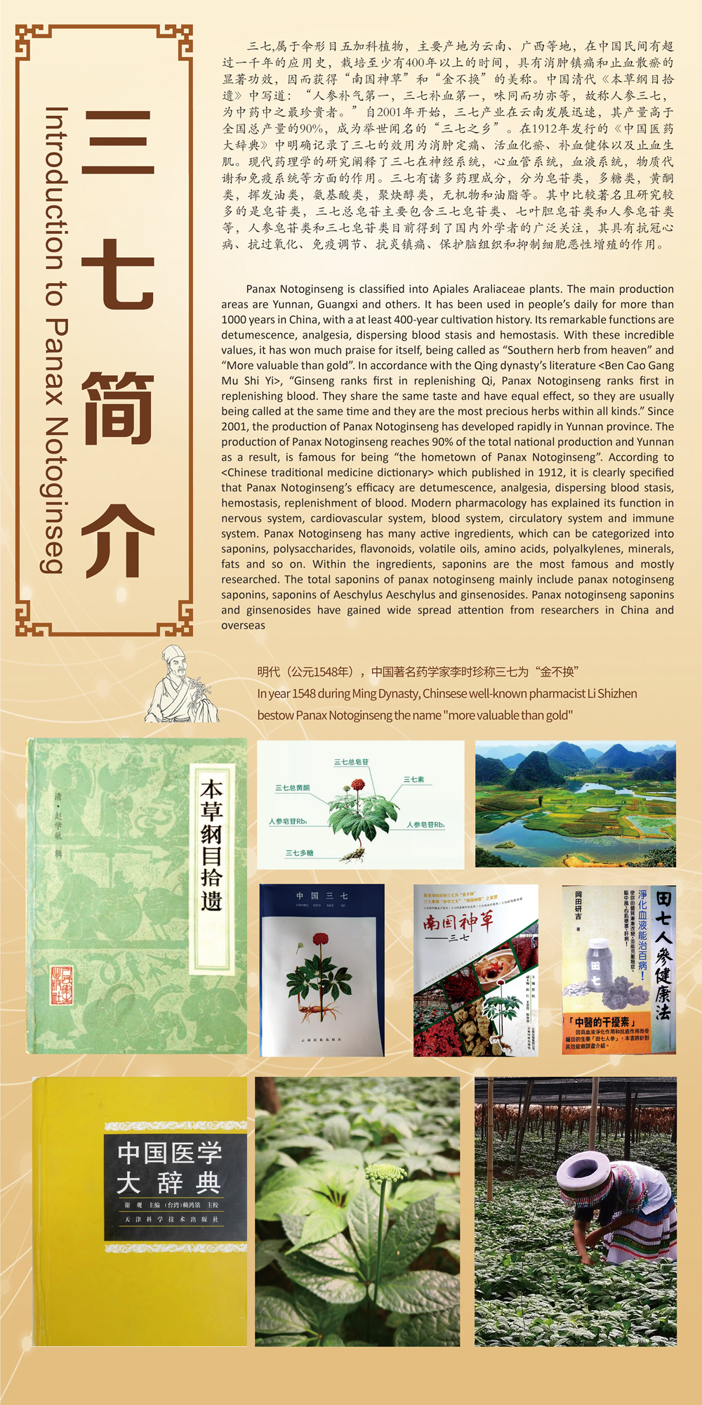 三七簡(jiǎn)介.jpg 三七簡(jiǎn)介.jpg